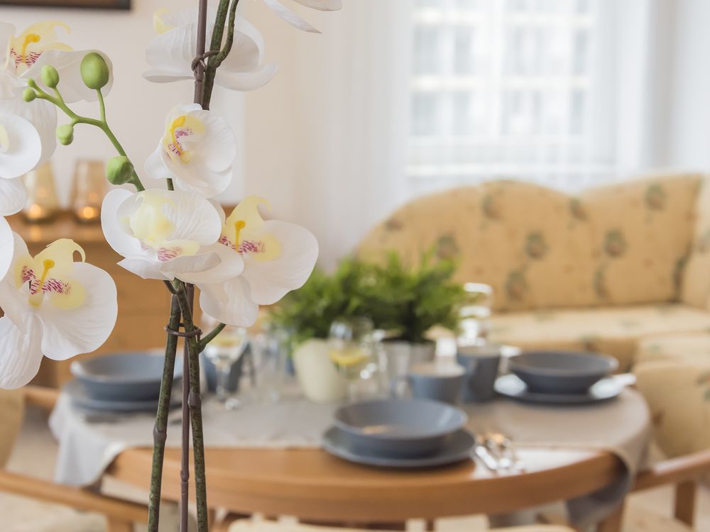 Polonia Apartamenty 코워브제크 외부 사진